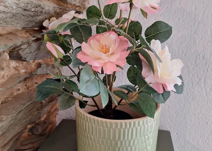 Charmante Maison - Le Coeur Des Hommes - Wifi, Balneo, Hammam Nyaraló *